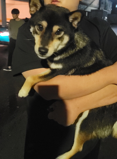 사단법인 동부_426340202500650